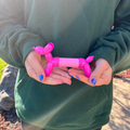 Balloon Dog Fidget Toy
