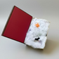 Spooky Book Box